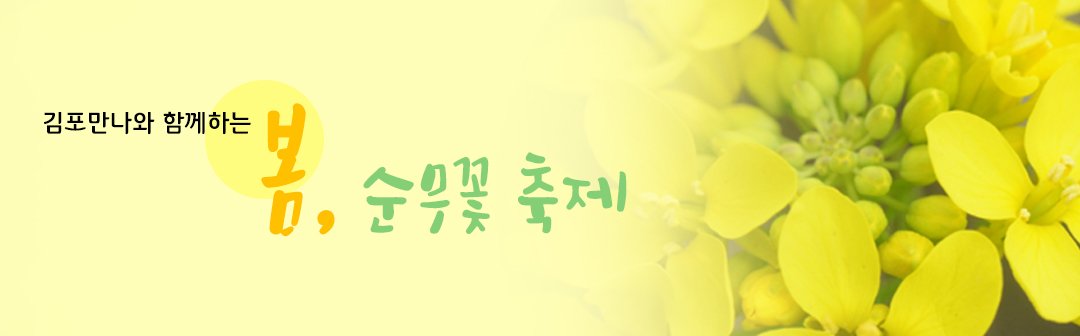 <봄>순무 꽃 축제