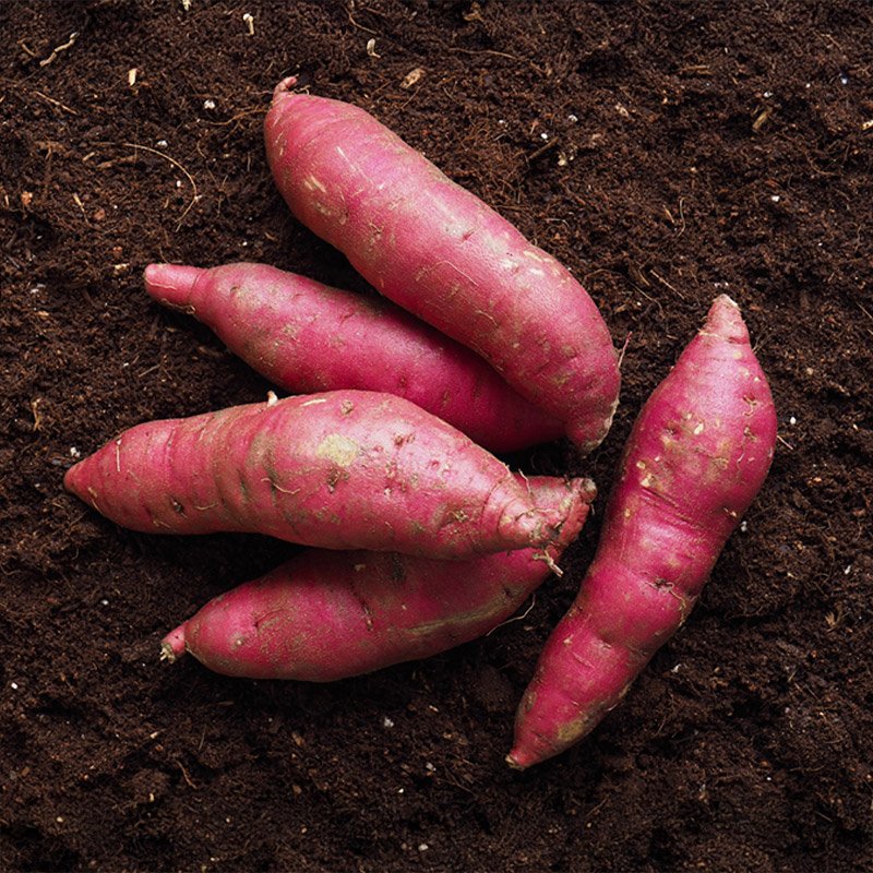 상품이미지 최대 사이즈